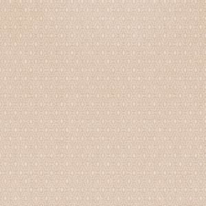 MY2301 MYRIAD İTHAL DUVAR KAĞIDI