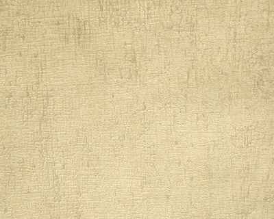 6613-01 LAMOS DUVAR KAĞIDI